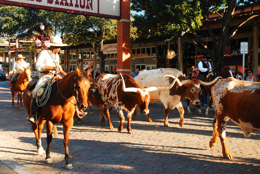 Five fun things to do in the Dallas/Fort Worth area