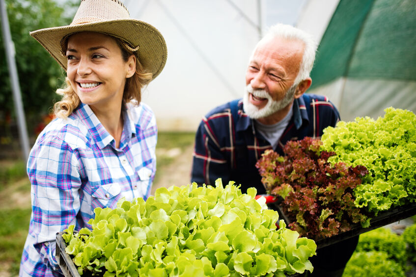 Summer Essentials for Your Dallas Garden