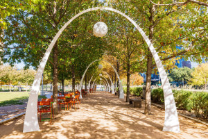 Sunny view of the Klyde Warren Park