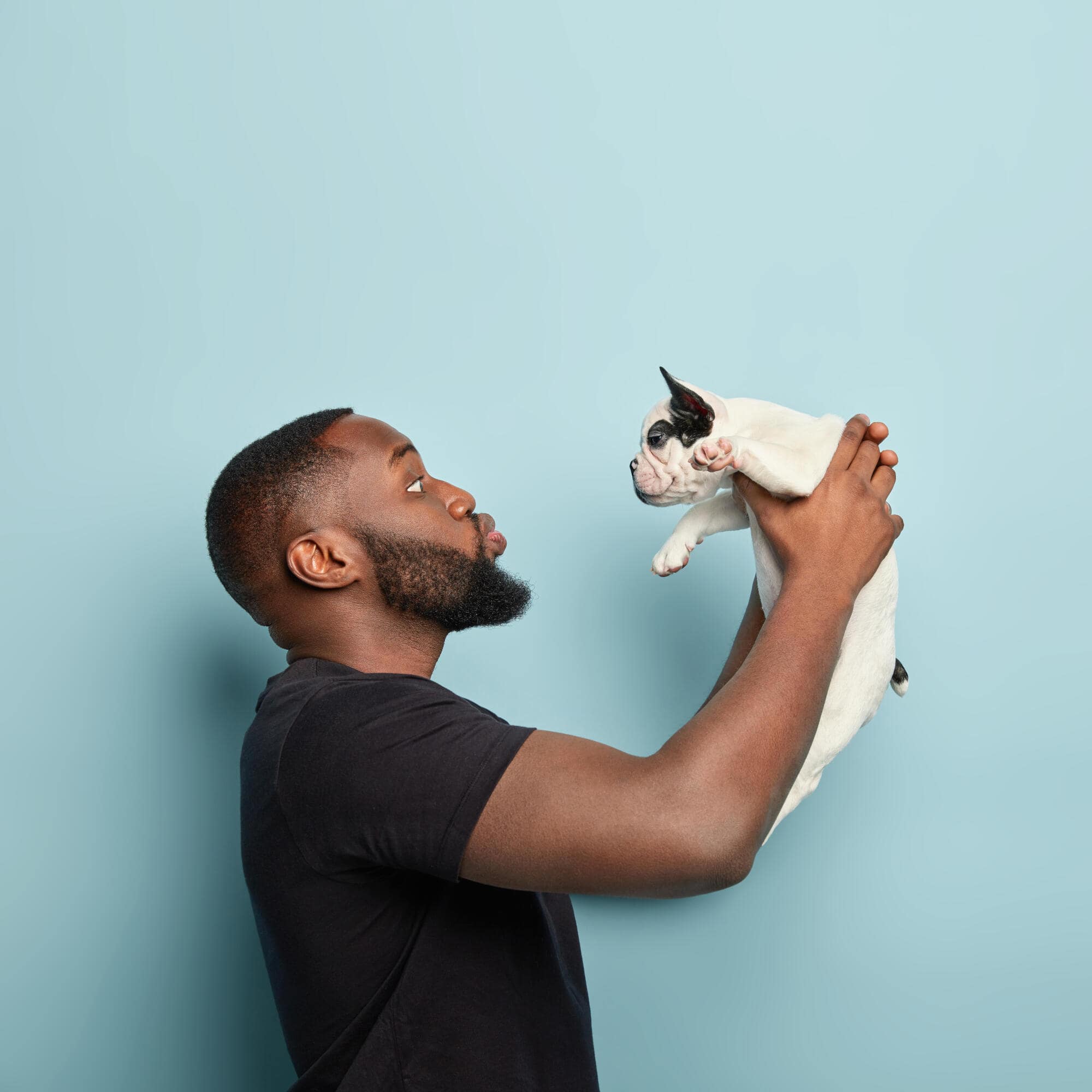 Pros and Cons of Allowing Pets in Your Rental Property