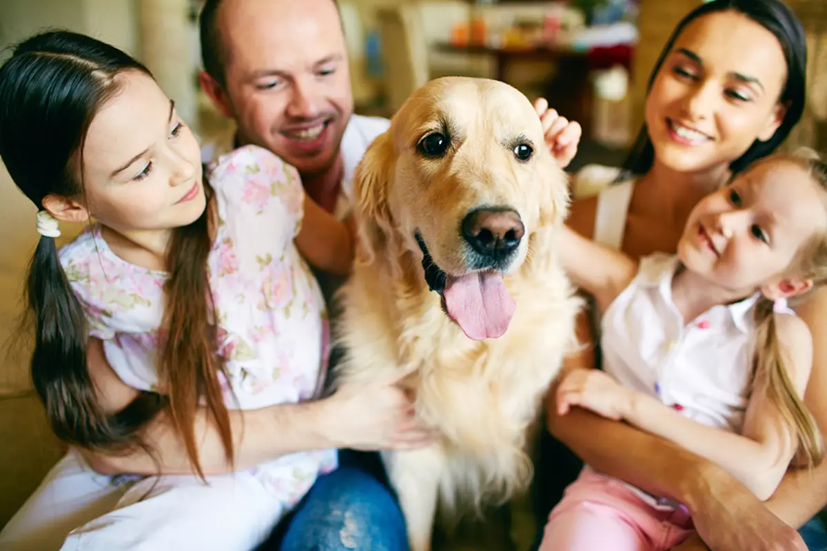 Pet Policies That Work: A Smarter Way to Welcome Pets in Your Dallas Rental